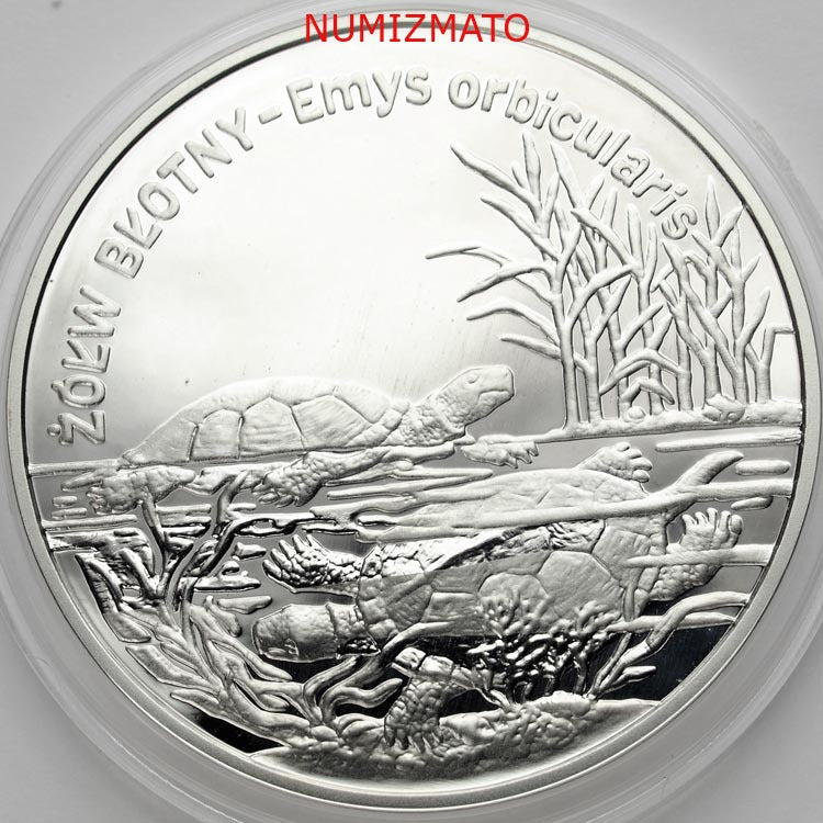 20 zł 2002 r. - Żółw błotny (Emys orbicularis) - Zwierzęta Świata