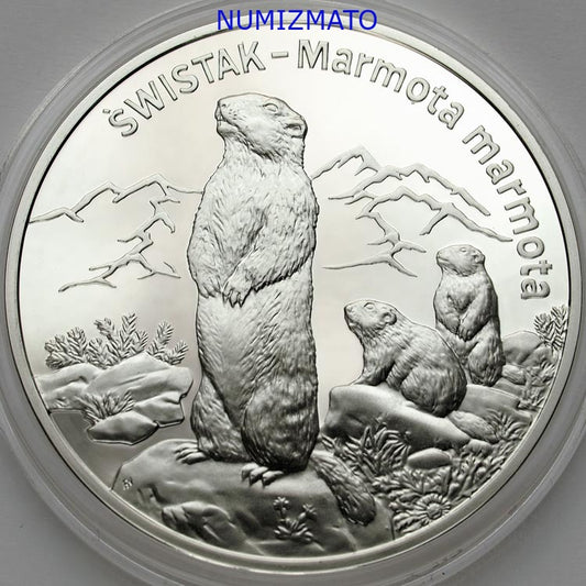 20 zł 2006 r. - Świstak - (łac. Marmota marmota) - Zwierzęta świata