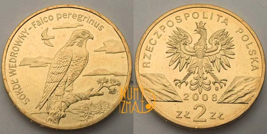 2 zł 2008 r. - Sokół wędrowny (Falco peregrinus) - Zwierzęta Świata, dwa złote NG